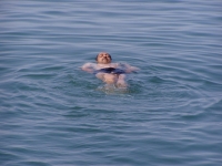 p6230009 Babu swimming in Adriatico. Barcola beach.