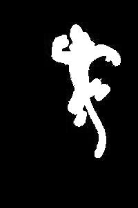 Tigre Silhouette