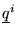 $\underline q^i$