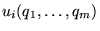 $u_i(q_1,\ldots,q_m)$