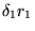 $\delta_1r_1$