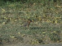  Near the play grounds