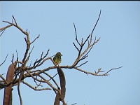  Near IITD hospital