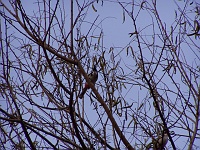  Opposite the hospital, near the football field