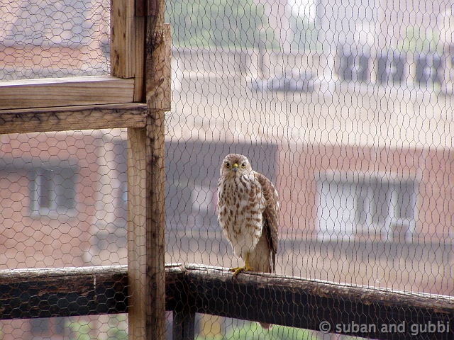 P9270052