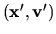$ ({\bf x'},{\bf v'})$