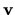 $ {\bf v}$