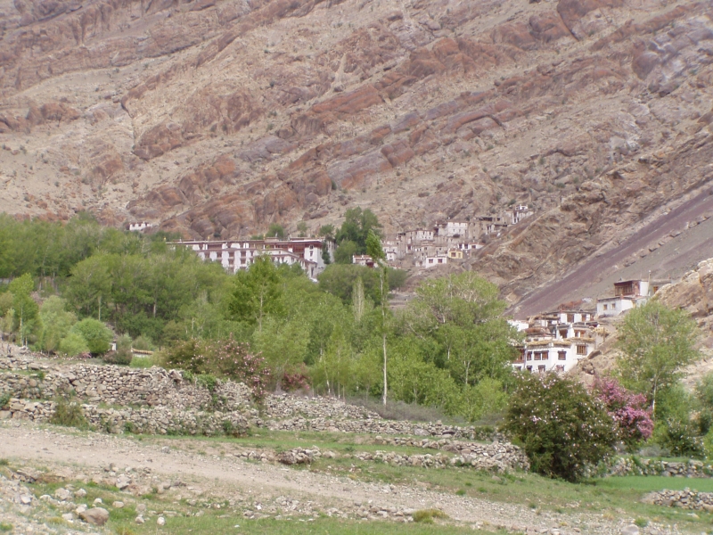 p6270346 Hemis