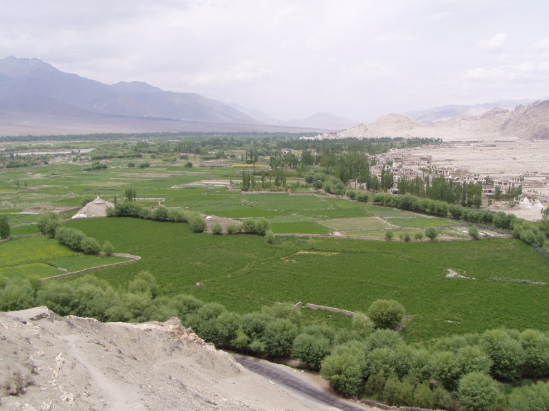 p6270380 Thiksey village