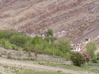 p6270346 Hemis