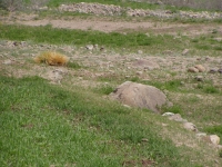 p6270347 