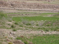 p6270348 