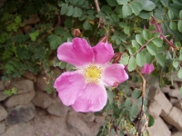 p6270363 