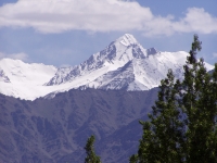 p1010003 The Stok Kangri?