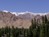 p1010004 
