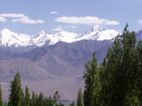 p1010006 