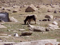 p6260278 