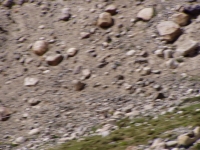 p6260315 ?