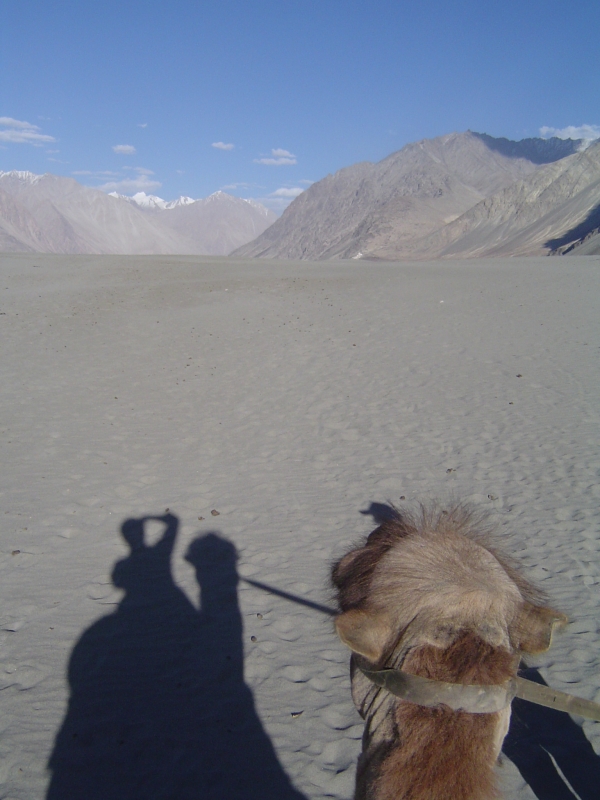dsc01468 Smriti's shadow
