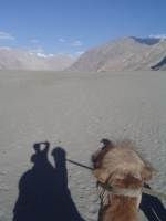 dsc01468 Smriti's shadow