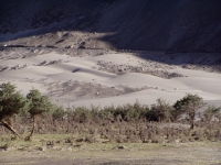 p6240226 The incredible sand dunes at Hunder