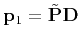 $\displaystyle {\bf p}_1 = \tilde{\bf P}{\bf D}
$