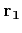 $ {\bf r_1}$