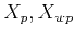 $ X_p,X_{wp}$