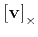 $ \left[ {\bf v} \right]_{\times}$