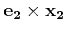 $ {\bf e_2} \times {\bf x_2}$