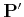 $ {\bf P'}$