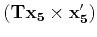 $ ({\bf Tx_5} \times {\bf x'_5})$
