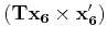 $ ({\bf Tx_6} \times {\bf x'_6})$