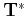 $ {\bf T^*}$
